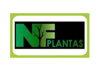 Guia Flore e Plantas