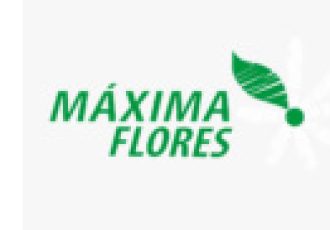 Guia Flore e Plantas