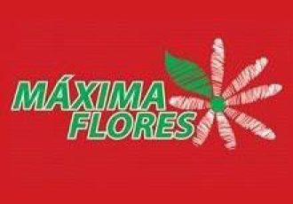 Guia Flore e Plantas