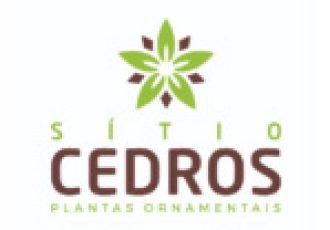 Guia Flore e Plantas Sitio Cedros