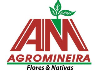 Guia Flore e Plantas