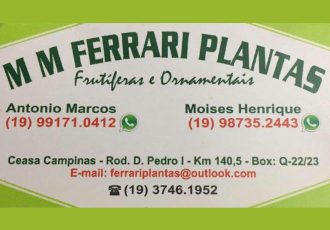 Guia Flore e Plantas