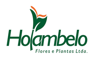 Guia Flore e Plantas