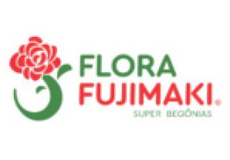 Guia Flore e Plantas