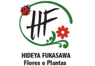 Guia Flore e Plantas