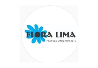 Guia Flore e Plantas