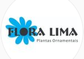 Guia Flore e Plantas