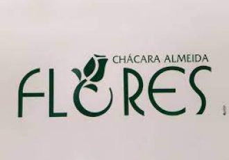 Guia Flore e Plantas